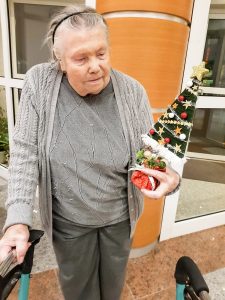 Ozdoby Siateczne 17